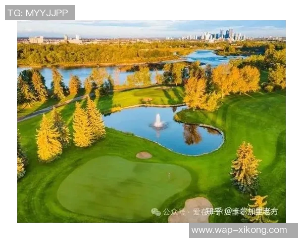 17岁卡尔一周精彩表现首球连连创历史高中生活与职业梦想交织