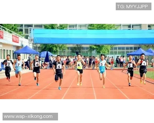 富安健洋抵达阿姆斯特丹明天将进行阿贾克斯体检开启新篇章 富安健洋抵达阿姆斯特丹明天将进行阿贾克斯体检开启新篇章