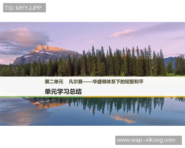 关于2017年历史问题处罚的公告及其影响分析与后续措施探讨 关于2017年历史问题处罚的公告及其影响分析与后续措施探讨